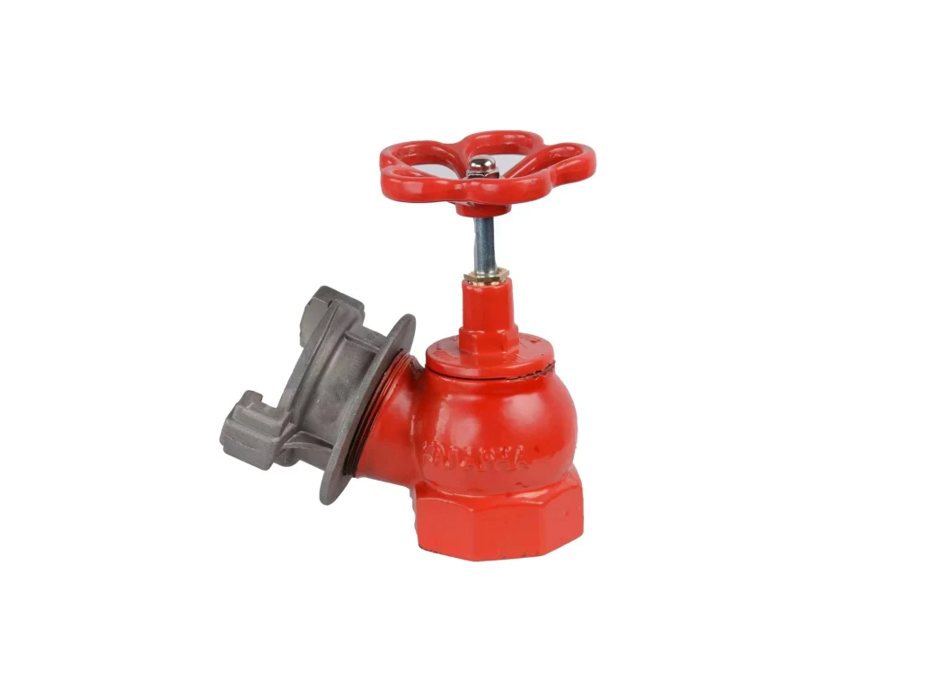 Russia Type Fire Indoor Hydrant Angle Valve