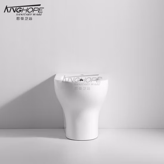 Buon Premio Bidet in ottone con cromatura per bagno08